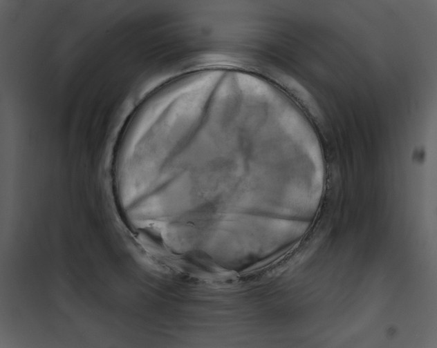 X0000100781427200807171432