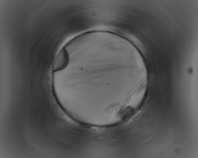 X0000100781428200807171432