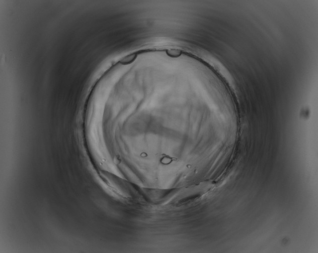 X0000100781429200807171432