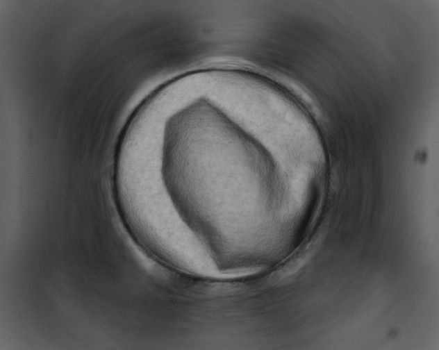 X0000100781430200807171432