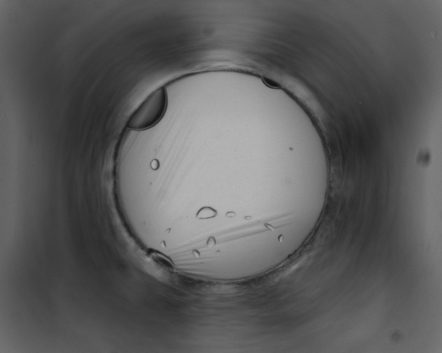 X0000100781431200807171432
