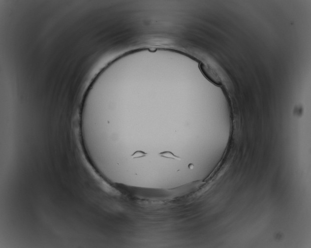 X0000100781432200807171432