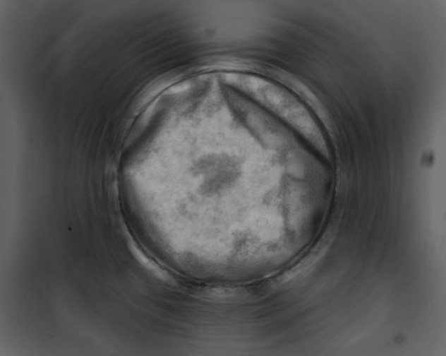 X0000100781433200807171432