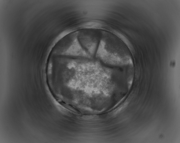 X0000100781434200807171432