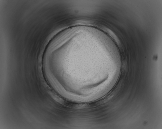 X0000100781435200807171432