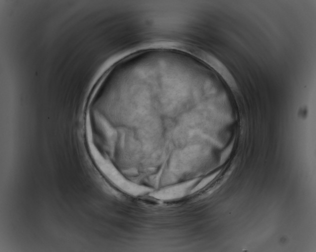 X0000100781436200807171432