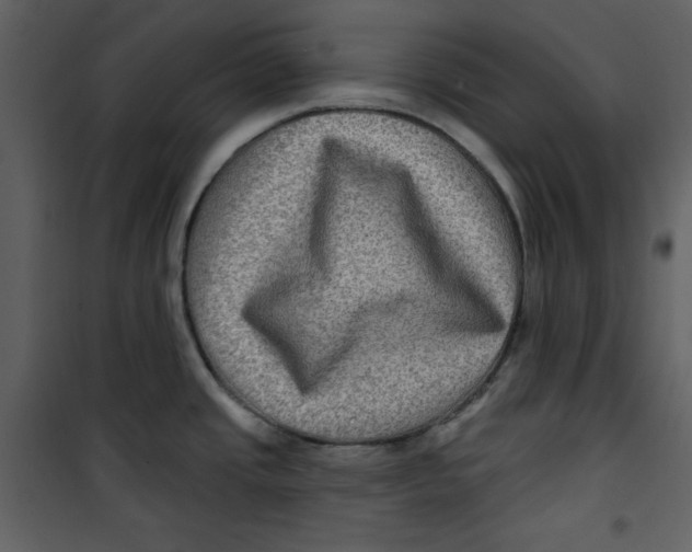 X0000100781437200807171432