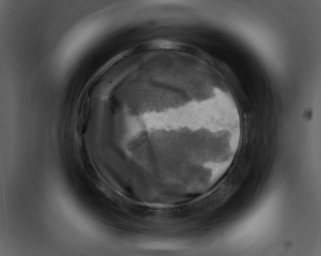 X0000100781438200807171432