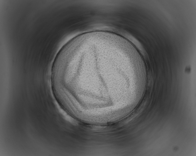 X0000100781439200807171432