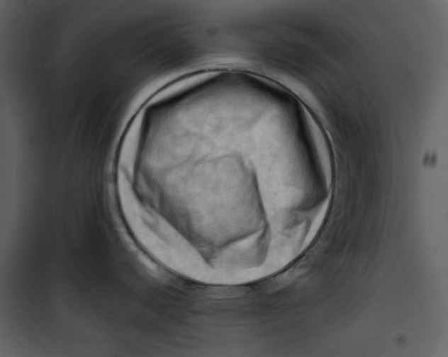 X0000100781440200807171432