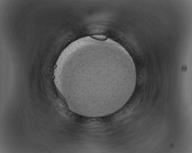 X0000100781441200807171431