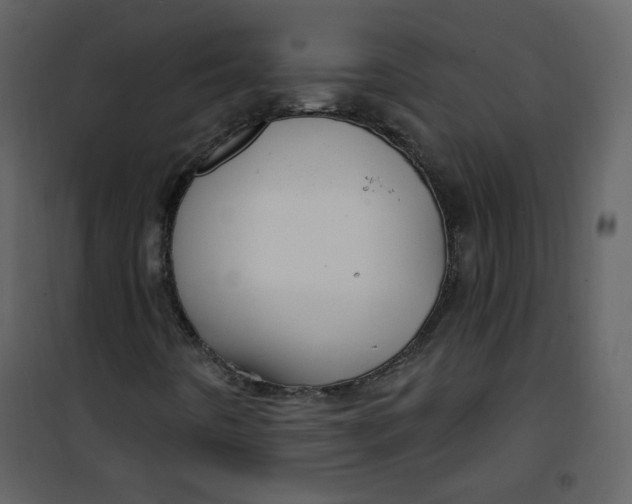 X0000100781442200807171431