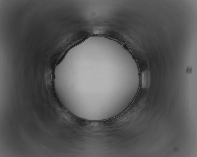 X0000100781443200807171431