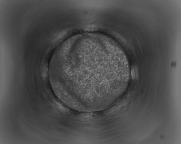 X0000100781444200807171431