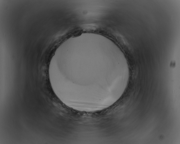 X0000100781445200807171431
