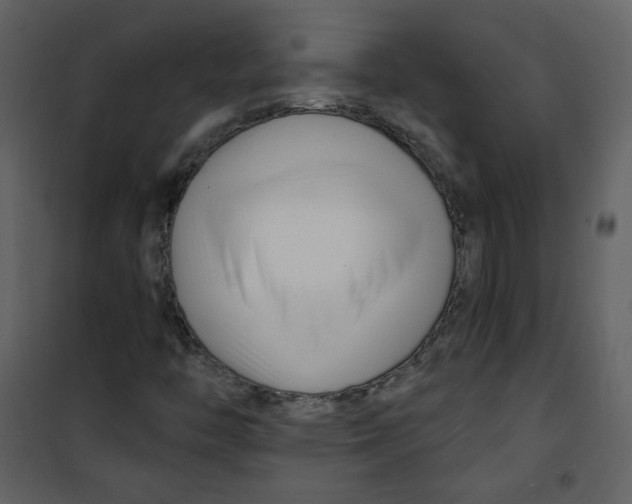 X0000100781446200807171431