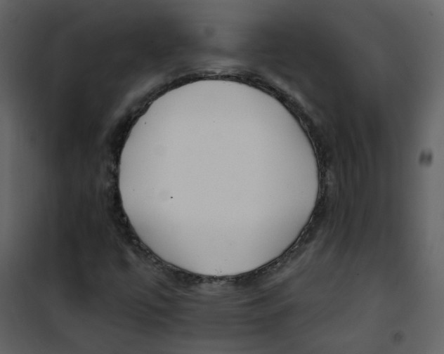 X0000100781447200807171431
