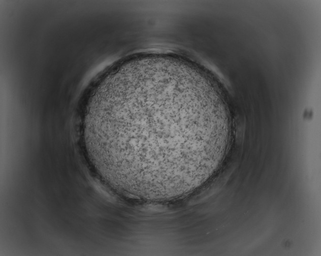 X0000100781448200807171431