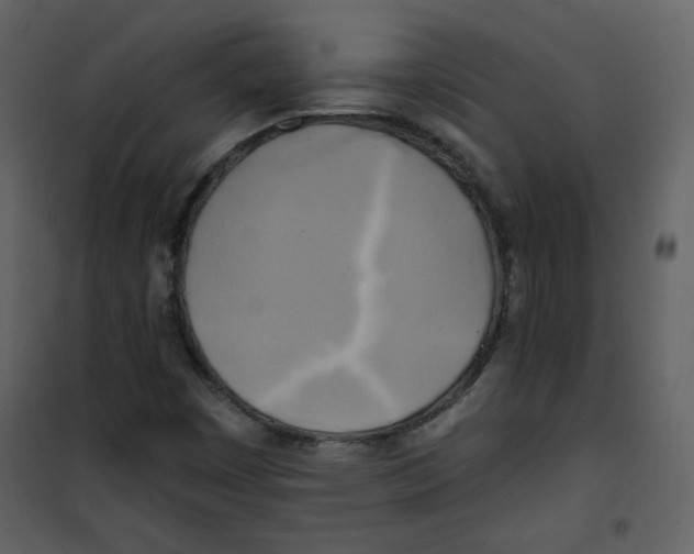 X0000100781449200807171431