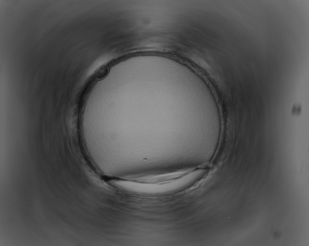 X0000100781450200807171431