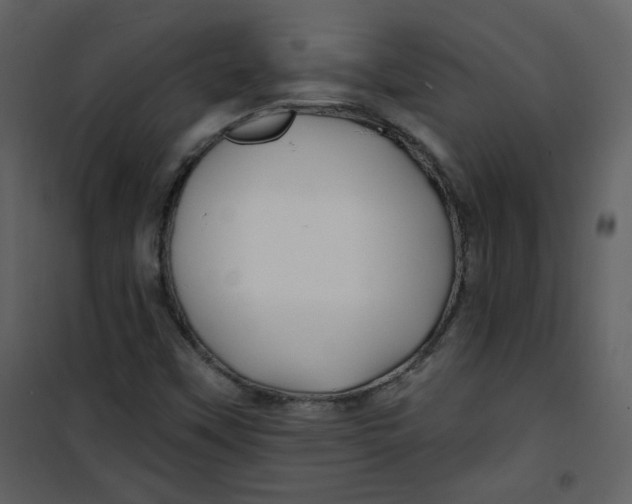 X0000100781451200807171431