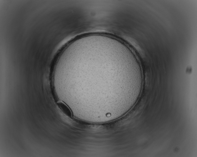 X0000100781452200807171431