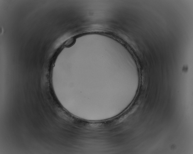 X0000100781453200807171431