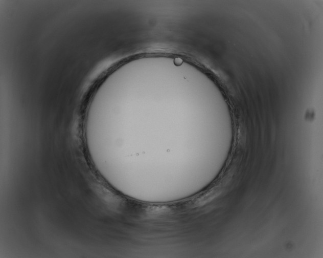 X0000100781454200807171431
