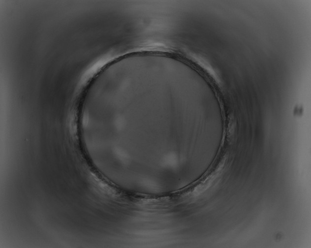 X0000100781455200807171431
