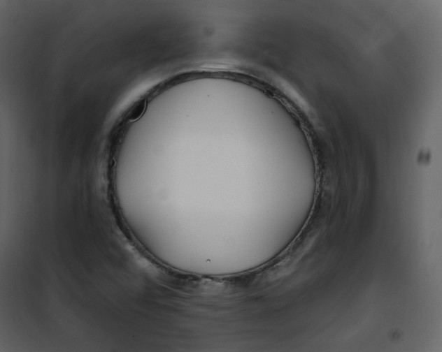 X0000100781456200807171431