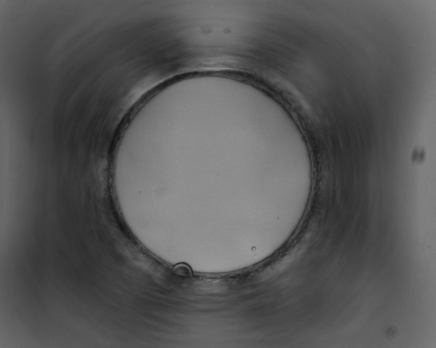 X0000100781457200807171431