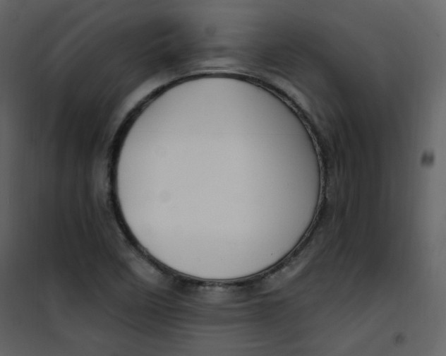 X0000100781458200807171431