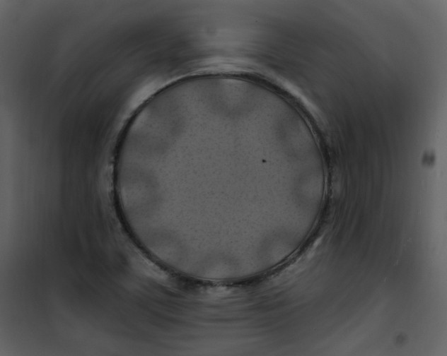 X0000100781459200807171431