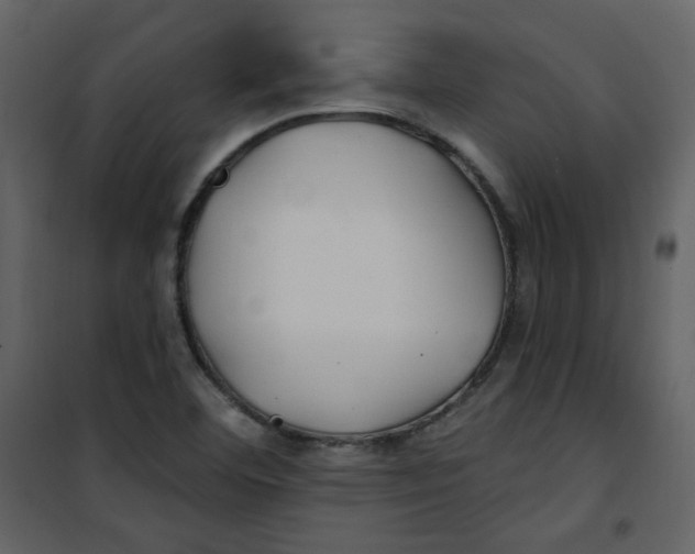 X0000100781460200807171431
