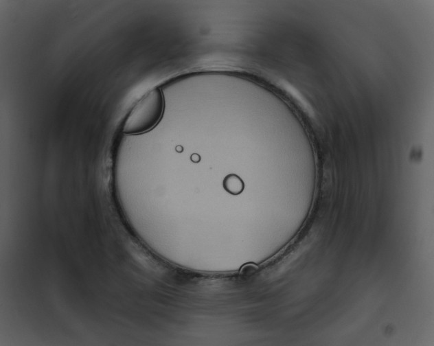 X0000100781461200807171431