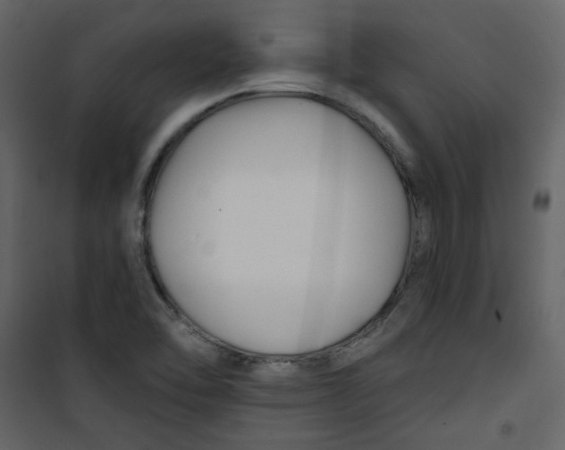 X0000100781462200807171431