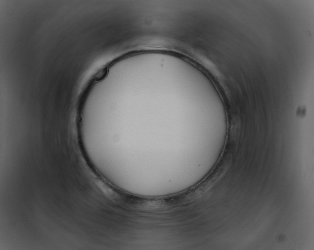 X0000100781464200807171431