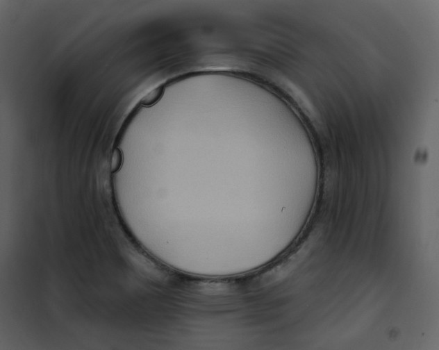X0000100781465200807171431