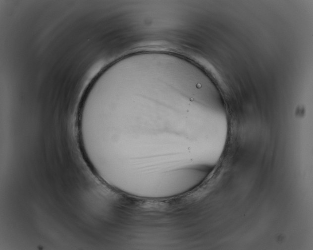 X0000100781466200807171431