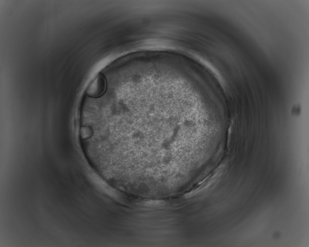 X0000100781467200807171431