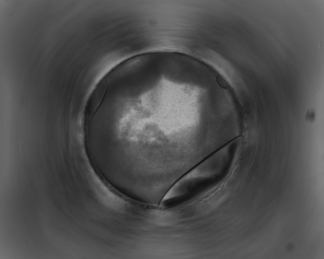 X0000100781468200807171431