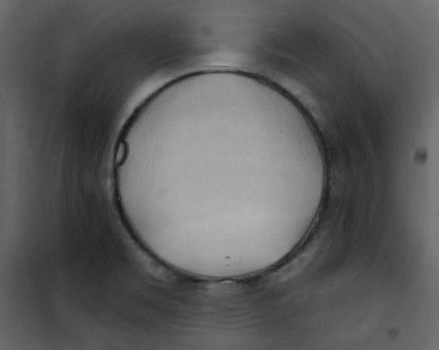 X0000100781469200807171431