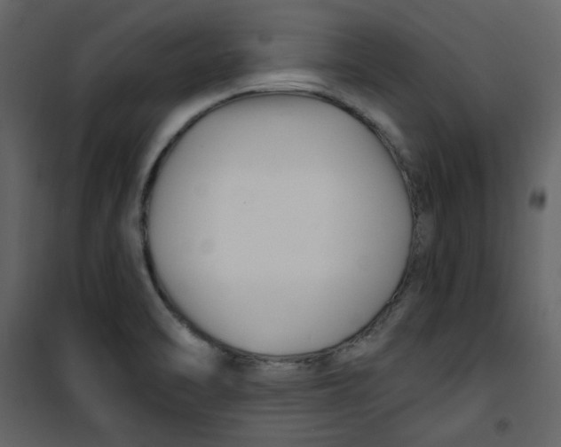 X0000100781470200807171431