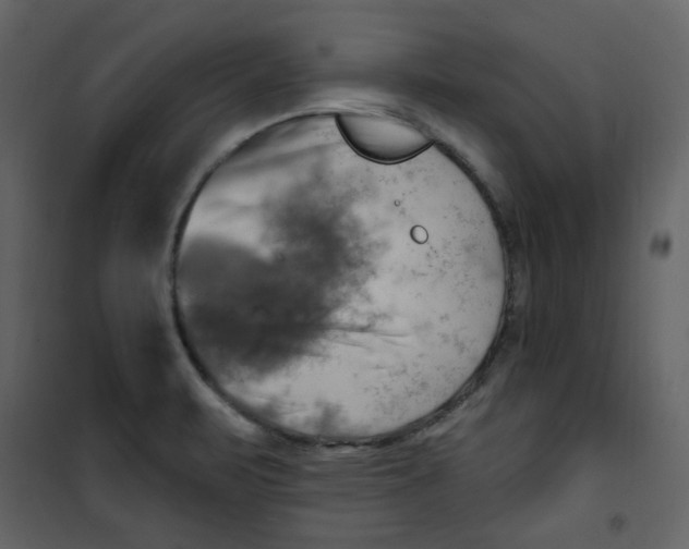 X0000100781471200807171431
