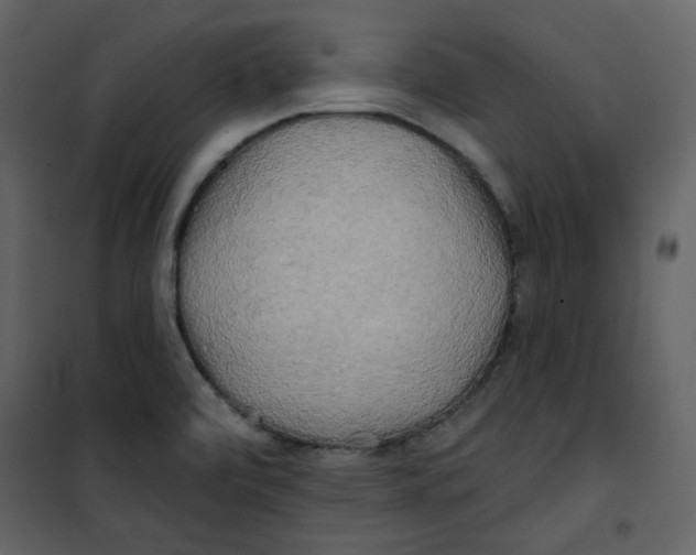 X0000100781472200807171430