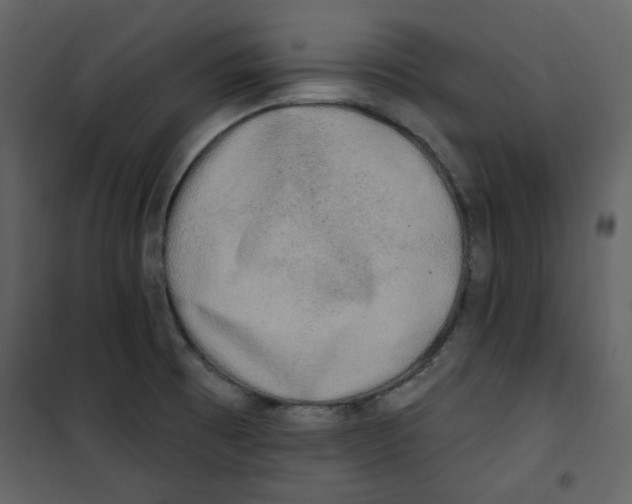 X0000100781473200807171430