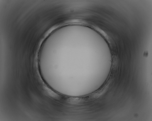 X0000100781474200807171430