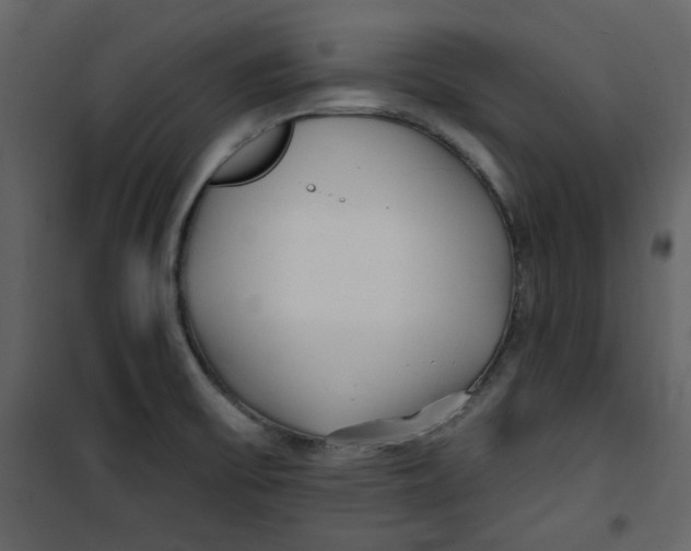 X0000100781475200807171430