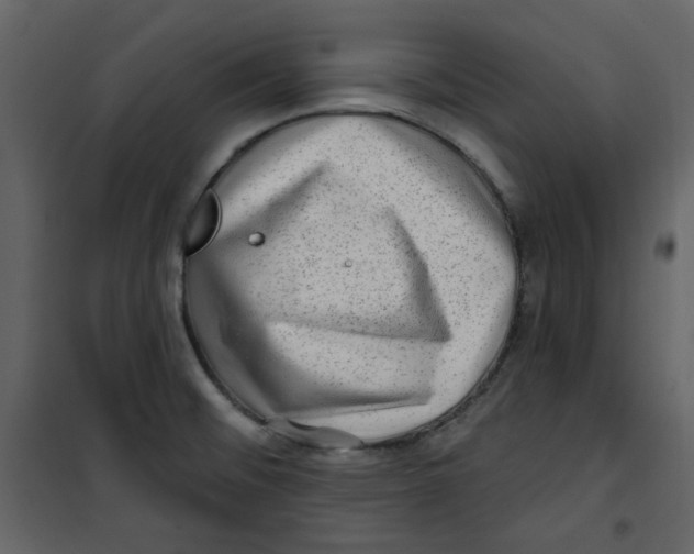 X0000100781476200807171430