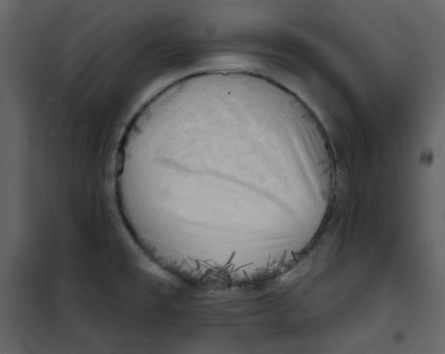 X0000100781477200807171430